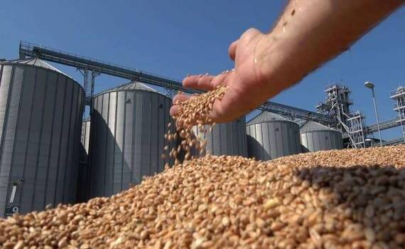 ФАО снизила прогнозы мирового урожая зерна до уровня прошлого года - agroexpert.md 