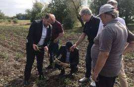 Costurile pentru sfecla de zahăr ajung la 35 de mii de lei per hectar - AGROEXPERT.MD