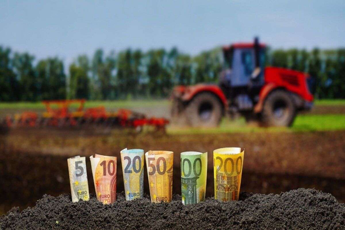 Fermierii cer soluții mai eficiente: „100 de mln de lei e o sumă mică” - agroexpert.md