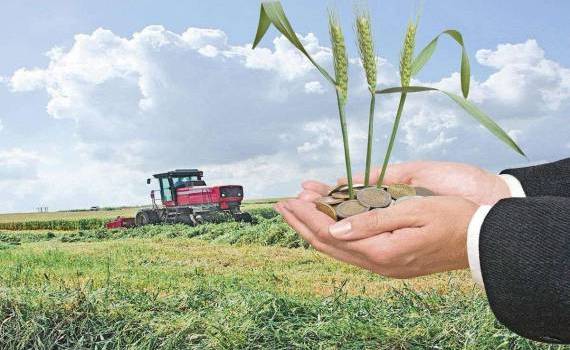 Agricultura rămâne printre cele mai prost plătite domenii - agroexpert.md - agroexpert.md