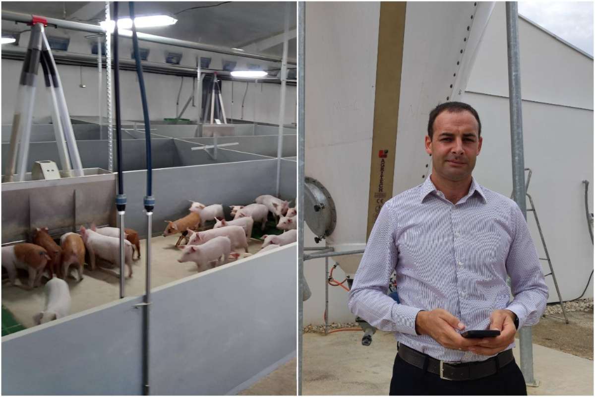 Ferma de porcine din Cinișeuți, un exemplu de bune practici - agroexpert.md