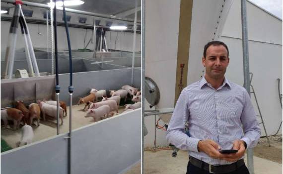 Ferma de porcine din Cinișeuți, un exemplu de bune practici - agroexpert.md