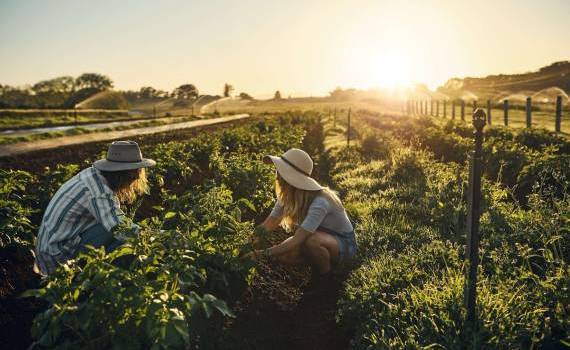 Agricultoarele pot participa la programul de granturi educaționale TalentA - agroexpert.md