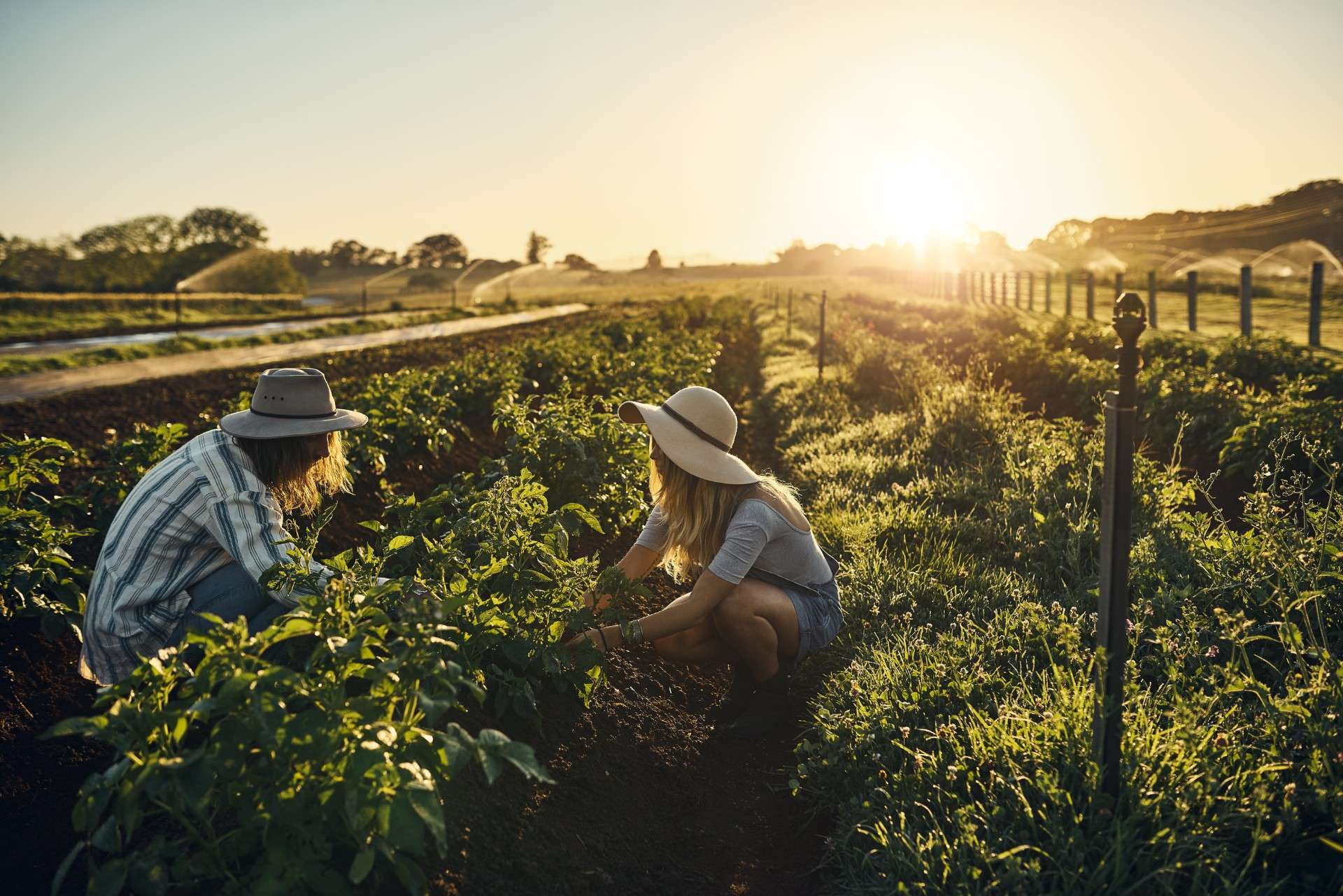 Agricultoarele pot participa la programul de granturi educaționale TalentA - agroexpert.md