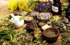 Producătorii de plante aromatice și medicinale solicită suport din partea statului - agroexpert.md