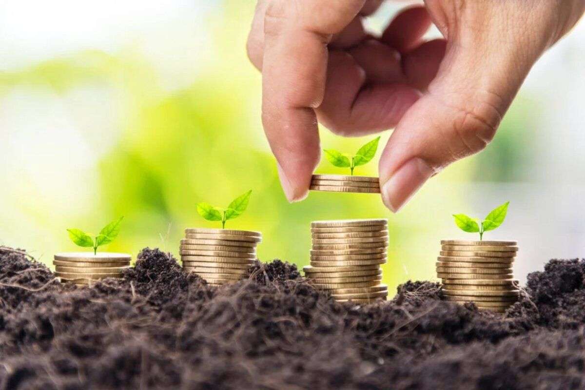  Curs de management financiar pentru agricultori: Unde va avea loc - agroexpert.md