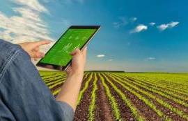 Serviciile din sectorul agroalimentar vor fi digitalizate - agroexpert.md