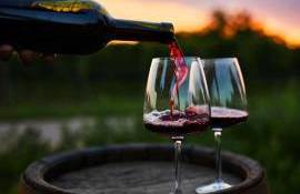 Consumul de vin în Europa: Franța, Portugalia și Slovenia, în top - agroexpert.md