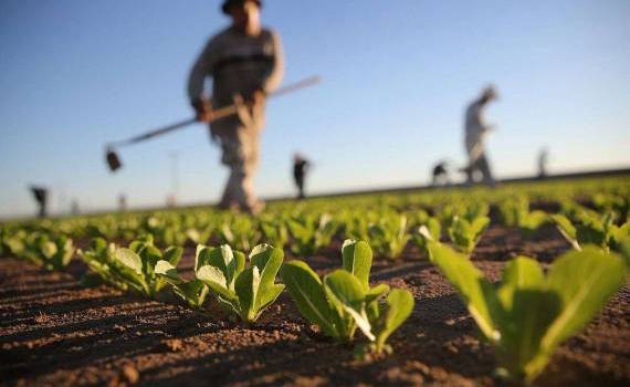 Slusari: Legea privind amânarea datoriilor fermierilor - agrolexpert.md