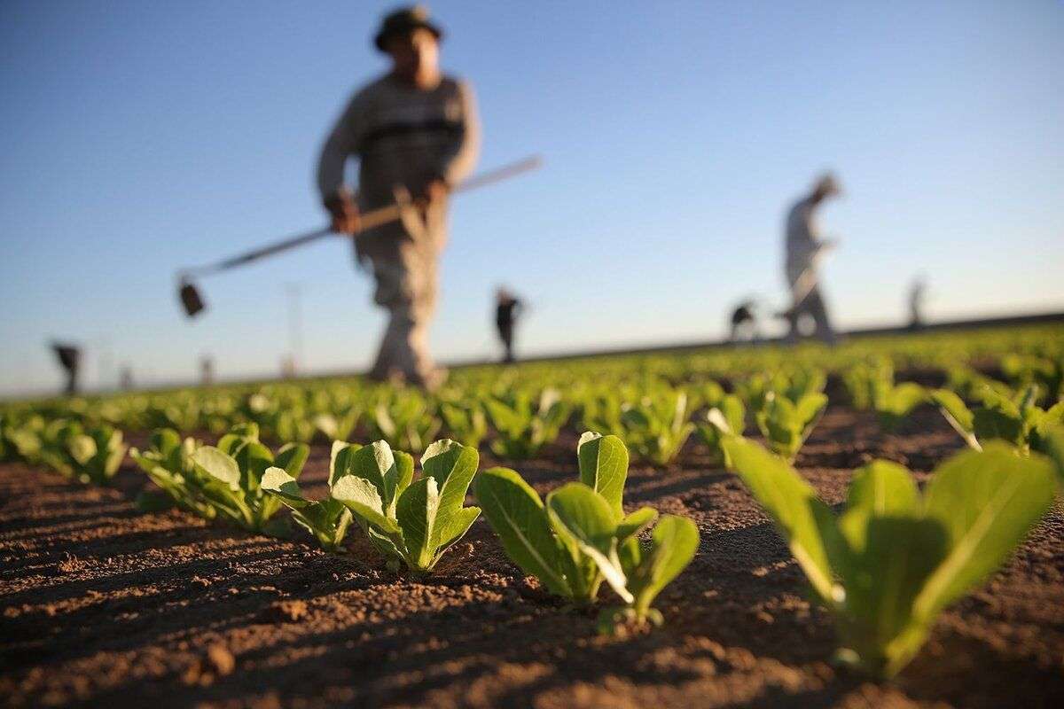 Slusari: Legea privind amânarea datoriilor fermierilor - agrolexpert.md