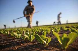 Slusari: Legea privind amânarea datoriilor fermierilor - agrolexpert.md