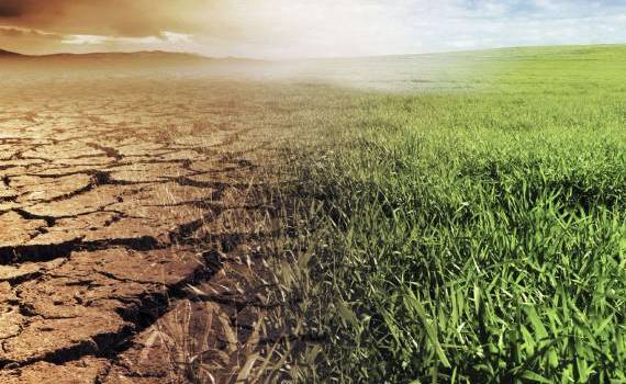 Fermierii se pot adapta la schimbările climatice prin trecerea la practici sustenabile - agroexpert.md