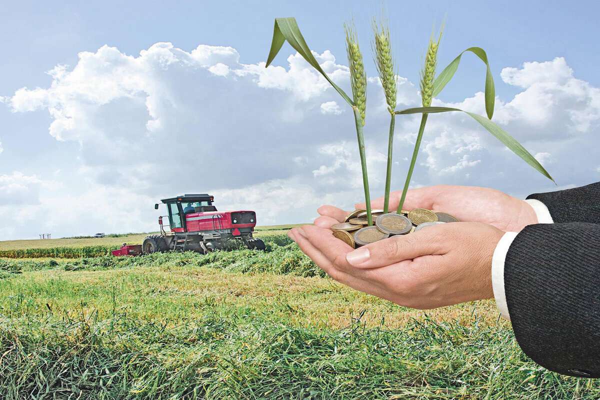 Fond pentru fermieri: Bolea a semnat scrisorile adresate miniștrilor UE - agroexpert.md