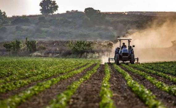 Va fi creat Institutul Național de Cercetări Aplicative în Agricultură - agroexpert.md