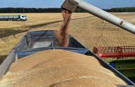 Поставки дешевого украинского зерна ведут к разорению немецких фермеров - agroexpert.md