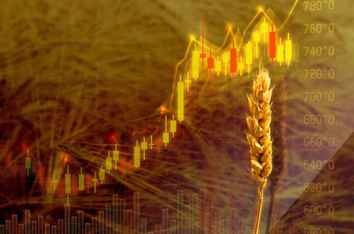 Фьючерсы на пшеницу на Euronext в среду немного выросли - agroexpert.md