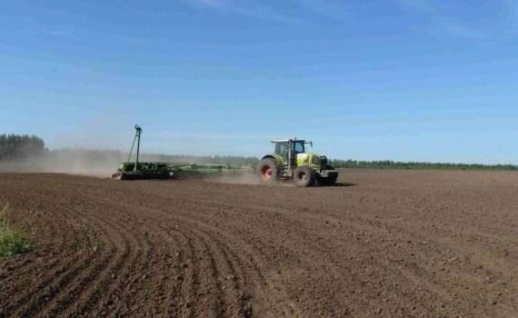 Низкие темпы сева озимых в РФ могут снизить урожай 2025 - agroexpert.md