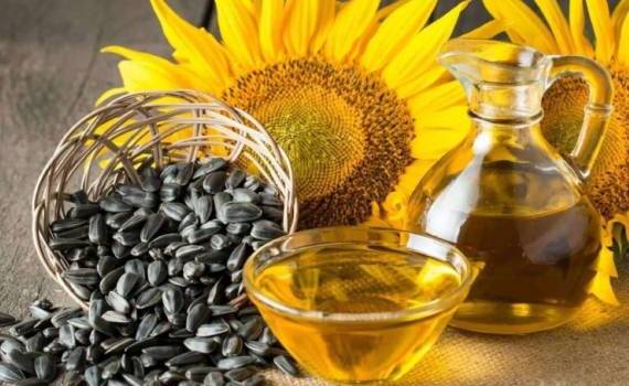 Рост цен на растительное масло повысил стоимость подсолнечника в Украине - agroexpert.md