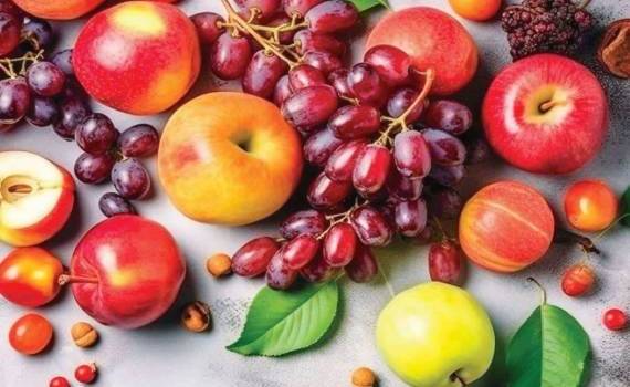 Засуха сильно ограничила потенциал производства и экспорта осенних фруктов - agroexpert.md
