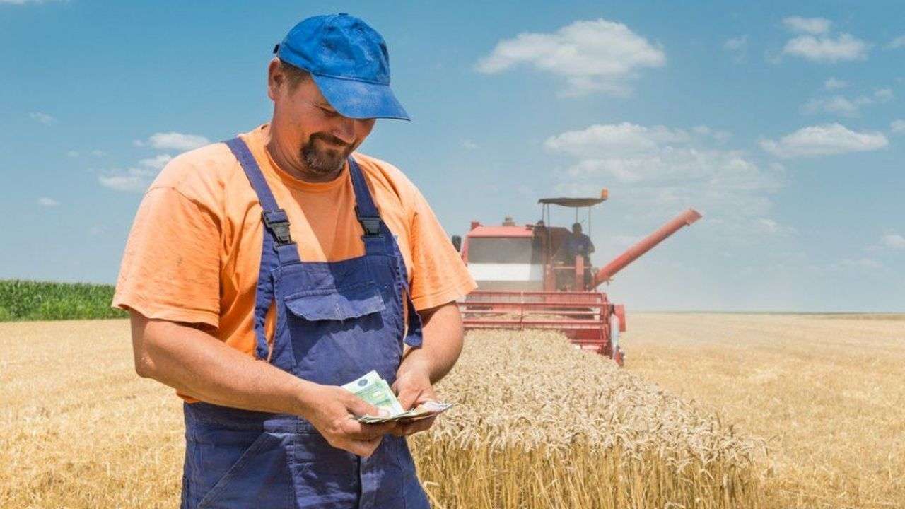 Datoriile fermierilor afectați de secetă, amânate: Vor avea loc instruiri - agroexpert.md