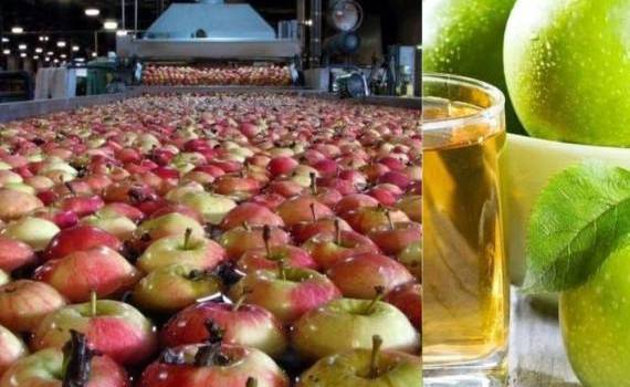 Промышленное яблоко в РМ: короткий сезон-2024, рекордные цены - agroexpert.md