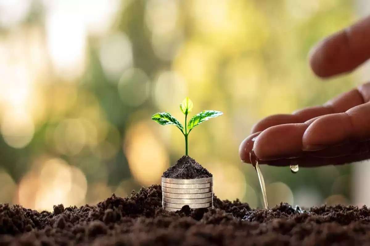 S-a lansat apelul pentru subvențiile post-investiționale în 2024 - agroexpert.md