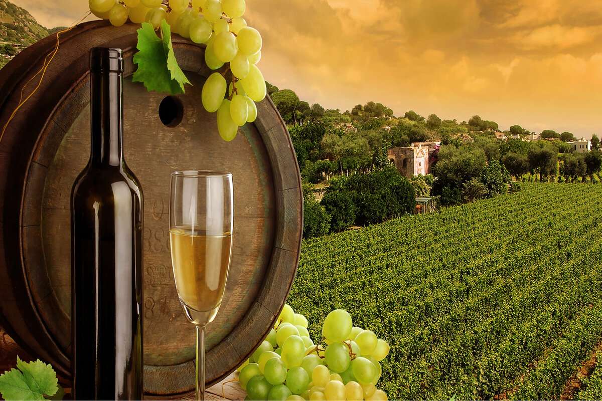 R. Moldova, printre cele mai apreciate destinații de turism vinicol - agroexpert.md