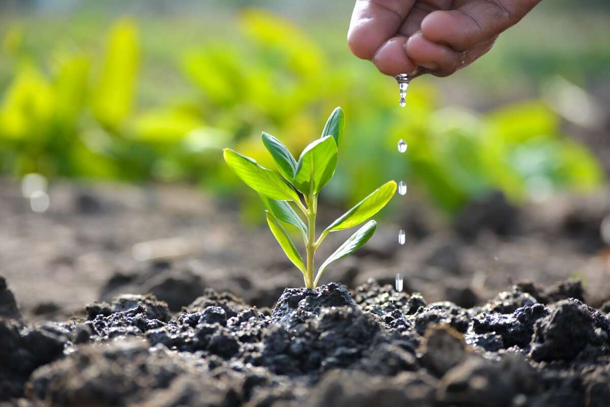 Reutilizarea apelor uzate în agricultura din RM - agroexpert.md