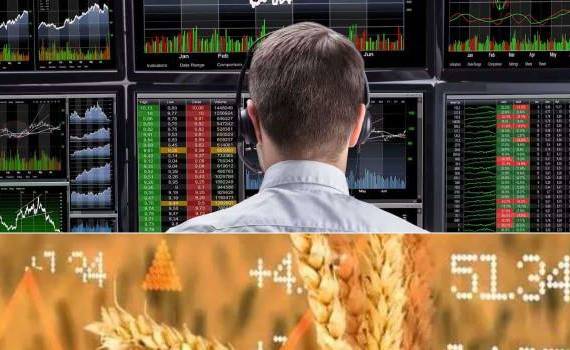 Цена пшеницы на европейской бирже во вторник немного подросла - agroexpert.md