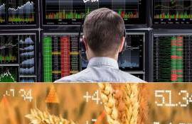 Цена пшеницы на европейской бирже во вторник немного подросла - agroexpert.md