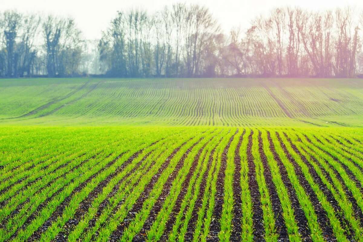 R. Moldova va avea un nou sistem de evidență a fondului funciar - agroexpert.md