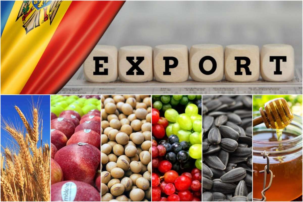 Unde și cât a exportat Republica Moldova în 2023 - agroexpert.md