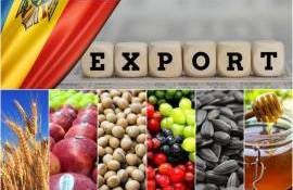 Unde și cât a exportat Republica Moldova în 2023 - agroexpert.md