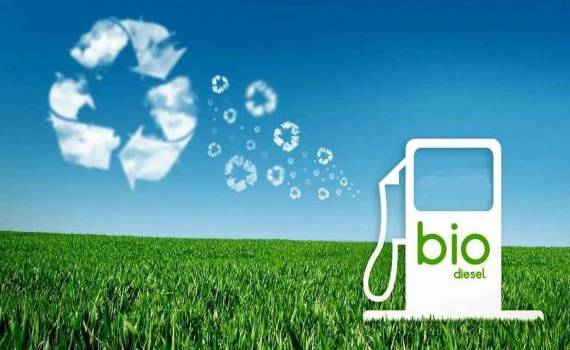 Прогнозируется резкий рост рынка биотоплива до 58 млн тонн к 2030 году - agroexpert.md