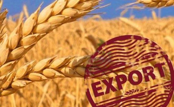 Экспорт зерна из РФ будет идти напрямую, без иностранных посредников - agroexpert.md