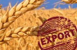 Экспорт зерна из РФ будет идти напрямую, без иностранных посредников - agroexpert.md