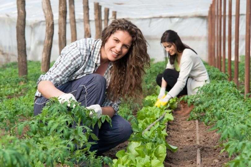 Celebrăm femeile din Mediul Rural: Top istorii de succes - agroexpert.md