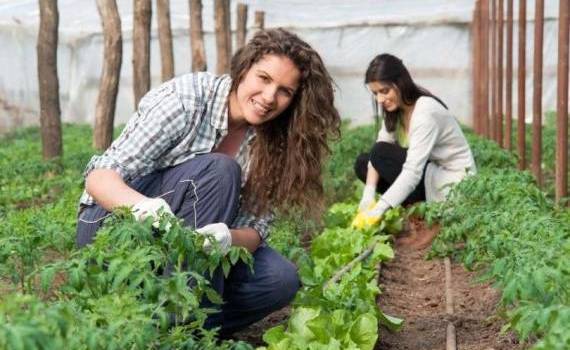 Celebrăm femeile din Mediul Rural: Top istorii de succes - agroexpert.md