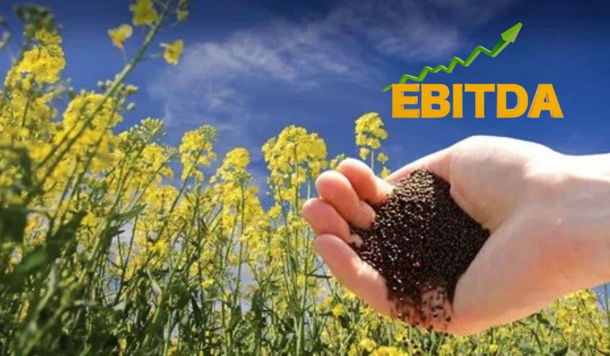 EBITDA основных агрокультур в Украине: результат лучше, чем ожидался - agroexpert.md