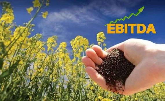 EBITDA основных агрокультур в Украине: результат лучше, чем ожидался - agroexpert.md