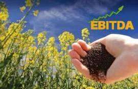 EBITDA основных агрокультур в Украине: результат лучше, чем ожидался - agroexpert.md