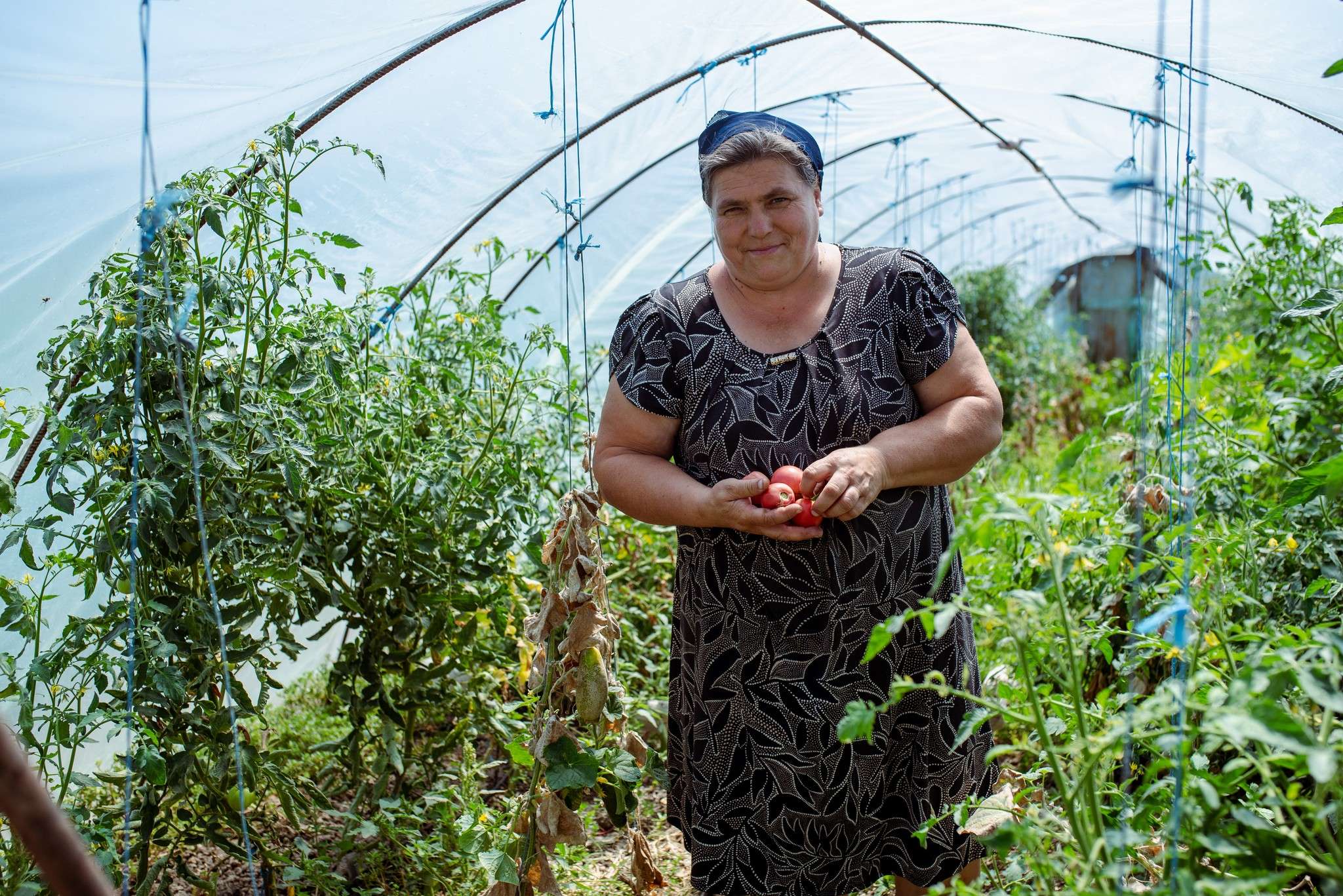 Olga Iablonschi: „Legumicultura ne-a dat aripi” - agroexpert.md