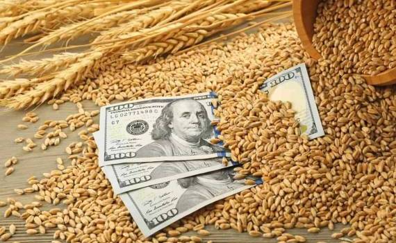 В России впервые опубликованы индикативные цены на экспорт пшеницы - agroexpert.md