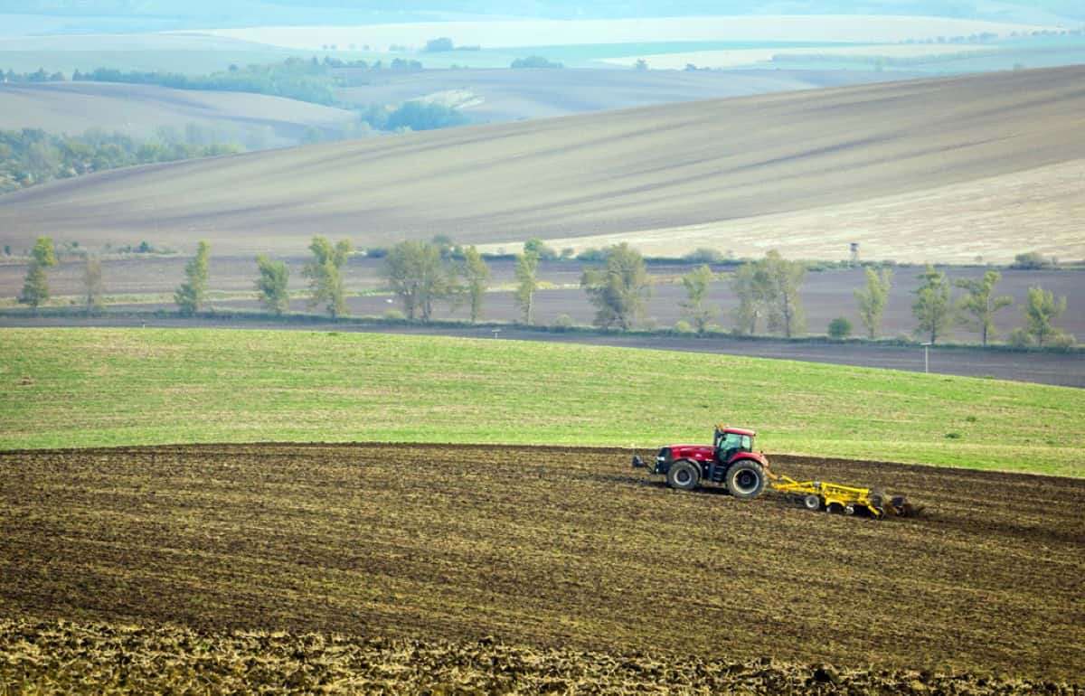 Цены на сельскохозяйственные земли в Молдове продолжат расти - agroexpert.md