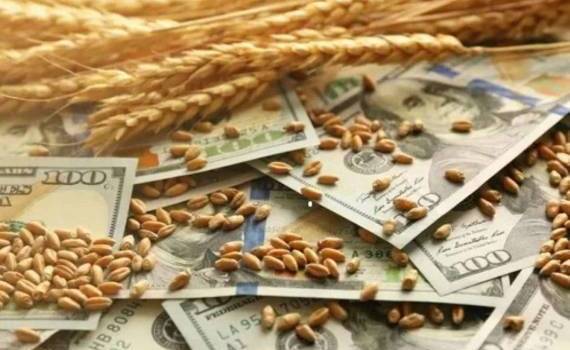 Цены на пшеницу в ЕС во вторник снова снижаются - agroexpert.md