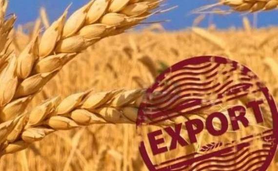 Анализ экспорта агропродовольственной продукции из РМ в сентябре 2024 года - agroexpert.md