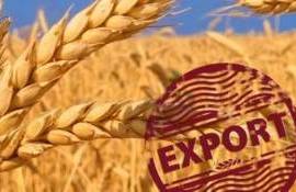 Анализ экспорта агропродовольственной продукции из РМ в сентябре 2024 года