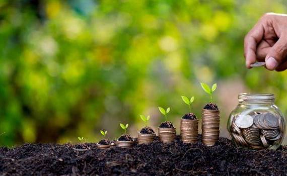 Noi măsuri de sprijin din 2025: Se vor acorda subvenții la hectar  - agroexpert.md
