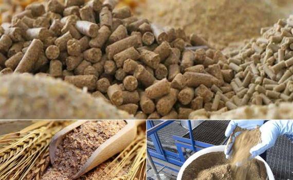 Торговля побочными продуктами пищевой промышленности и кормами для животных = agroexpert.md