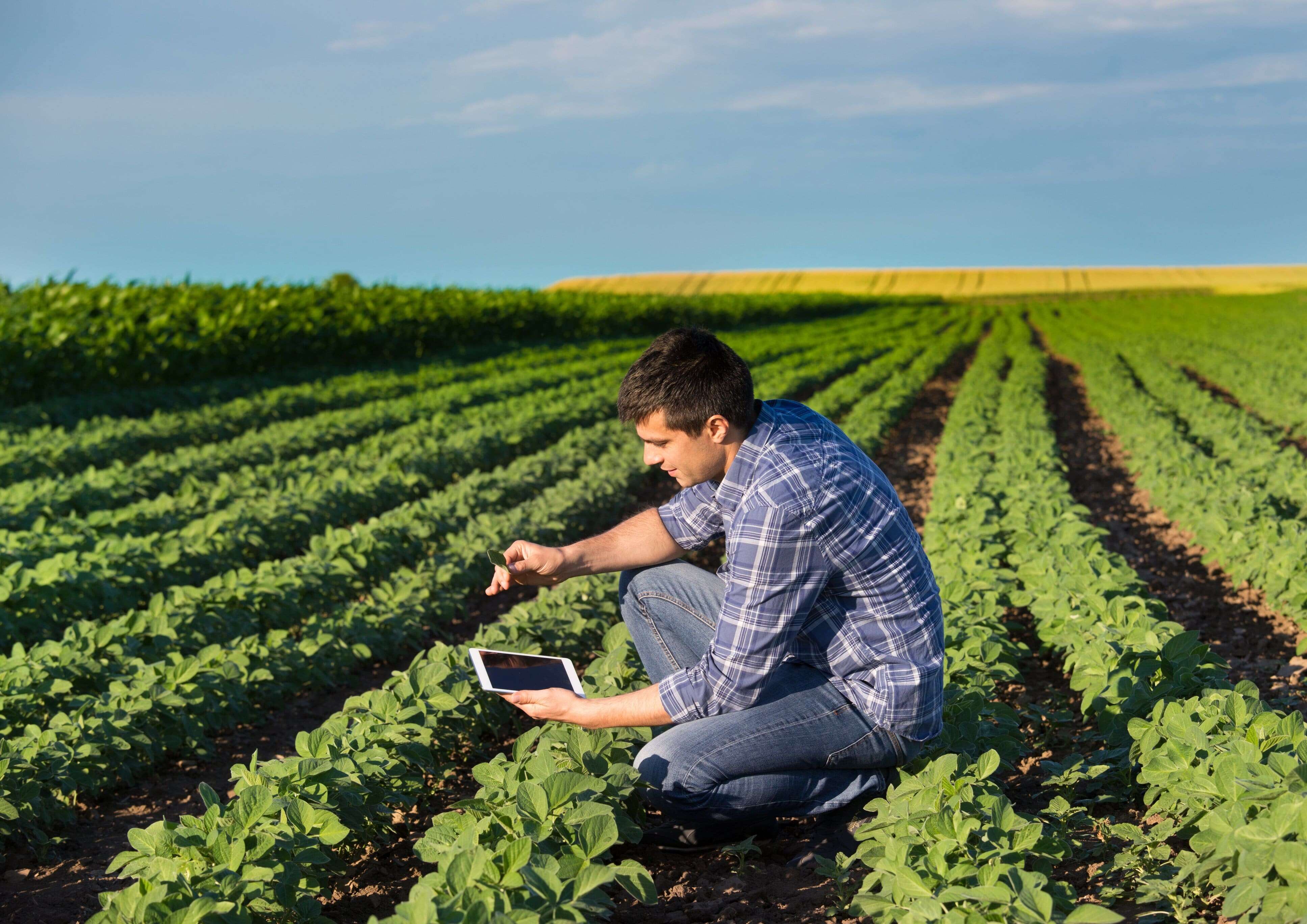 Program de formare pentru consilierii agricoli - agroexpert.md